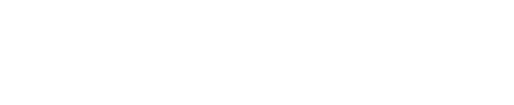 Newcomb Institute logo